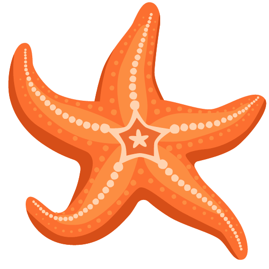 :google_emoji_kitchen_fish_and_star_mashup: