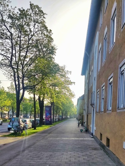 Geh mit angrenzendem Radweg mit Häusern und Bäumen einer Vorstadtstraße in München: frühlingsgrün. 