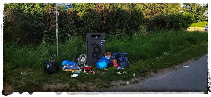 Sammlung von Abfällen aller Art rund um einen überfüllten Mülleimer am Wegesrand im Mainvorland bei Gustavsburg.