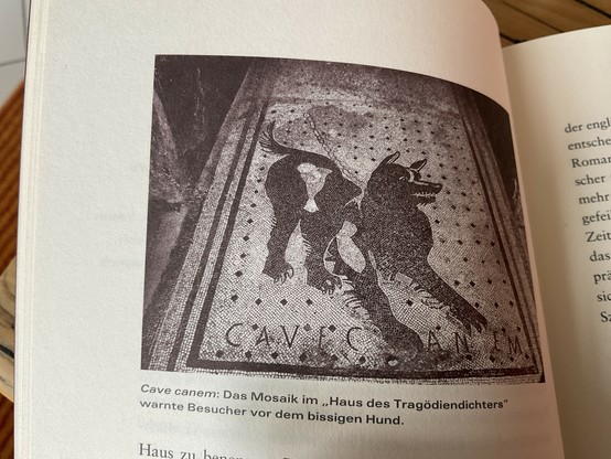 Buchseite mit einer schwarz-weiß Fotografie die ein Mosaik zeigt, die einen großen Hund zeigt mit Schriftzeile: Cave Canem