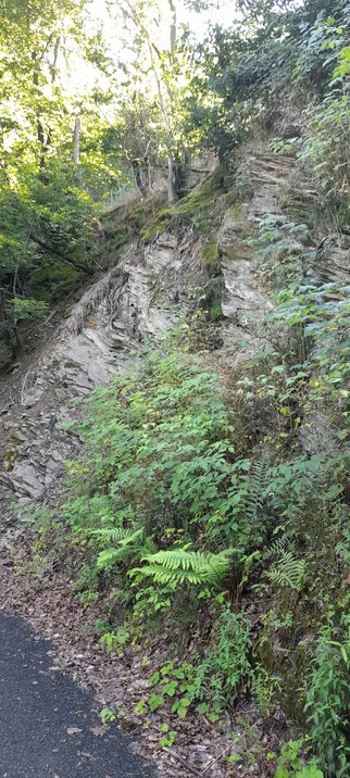 Im Mittelgebirgsraum nehmen die Husschichten kontinuierlich durch die Starkregenereignisse kontinuierlich ab. Die Erosion ist zunehmen diese Felswand macht deutlich wie gering diese Humusauflage sich darstellt.