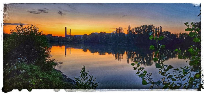 Blick über den Main auf die Industrieanlage in Mainz-Kostheim. Werksgebäude und Schornstein heben sich gegen den roten Abendhimmel ab. Im Wasser spiegelt sich das Ufer mit Bäumen und Gebäuden. Im Vordergrund Büsche am Ufer des Mains.