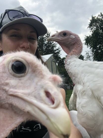 Selfie mit zwei Putenbabys. Eines photobombed unten links ins Bild und schaut in die Kamera. Das andere ist nah an meinem Gesicht.