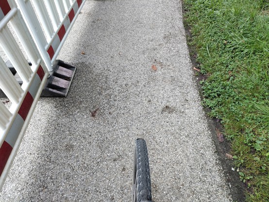 Blick von oben auf einem Fahrradreifen auf dem halbseitig gesperrten Feldweg zu Verdeutlichung, wie schmal er jetzt ist.