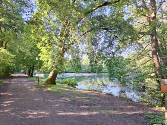 Im linken Teil des Bildes ein gerade Weg, der an einem See vorbeiführt. Sowohl der Weg als auch der See sind von grünen Bäumen gesäumt.