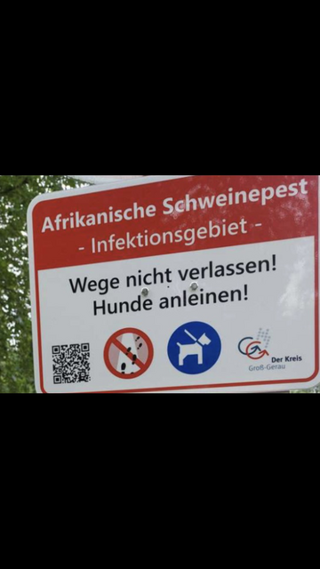 Warnschild im Kreis Groß-Gerau mit der Aufschrift: „Afrikanische Schweinepest - Infektionsgebiet - Wege nicht verlassen! Hunde anleinen!