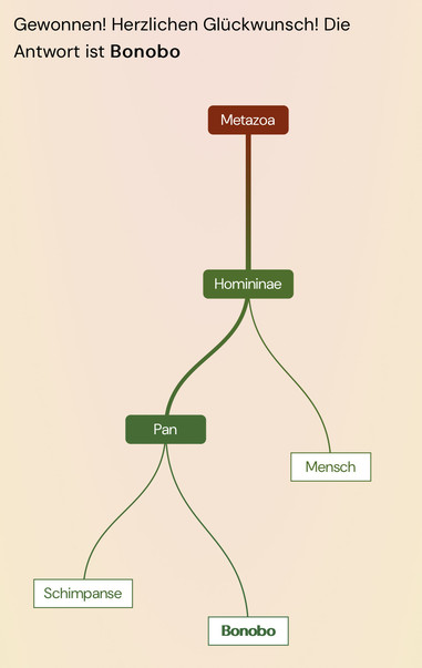 Screenshot des Ratespiels metazoa.
Stammbaum oben Metazoa dann Homininae dann Abzweig zu Mensch und zu Pan. Pan verzweigt zu Schimpanse und Bonobo.