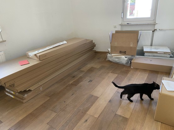 Blick in ein Zimmer, in dem sehr viele große IKEA-Kartons liegen. Eine schwarze Katze schnuppert an einem der Kartons. 