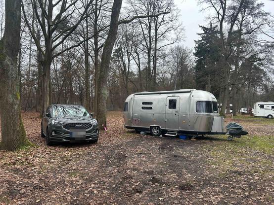 Der Airstream und der Zugwagen stehen - quasi allein - im „Wald“. 