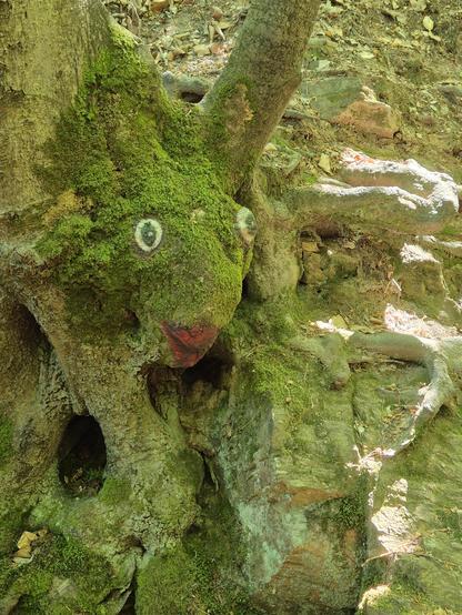Mit Moos überwachsener in eine Baumwurzel/Stamm geschnitzer Kopf mit weiß-grün gemalten Augen und rotem Mund, auf die Wurzeln rechts fallen Sonnenstrahlen.