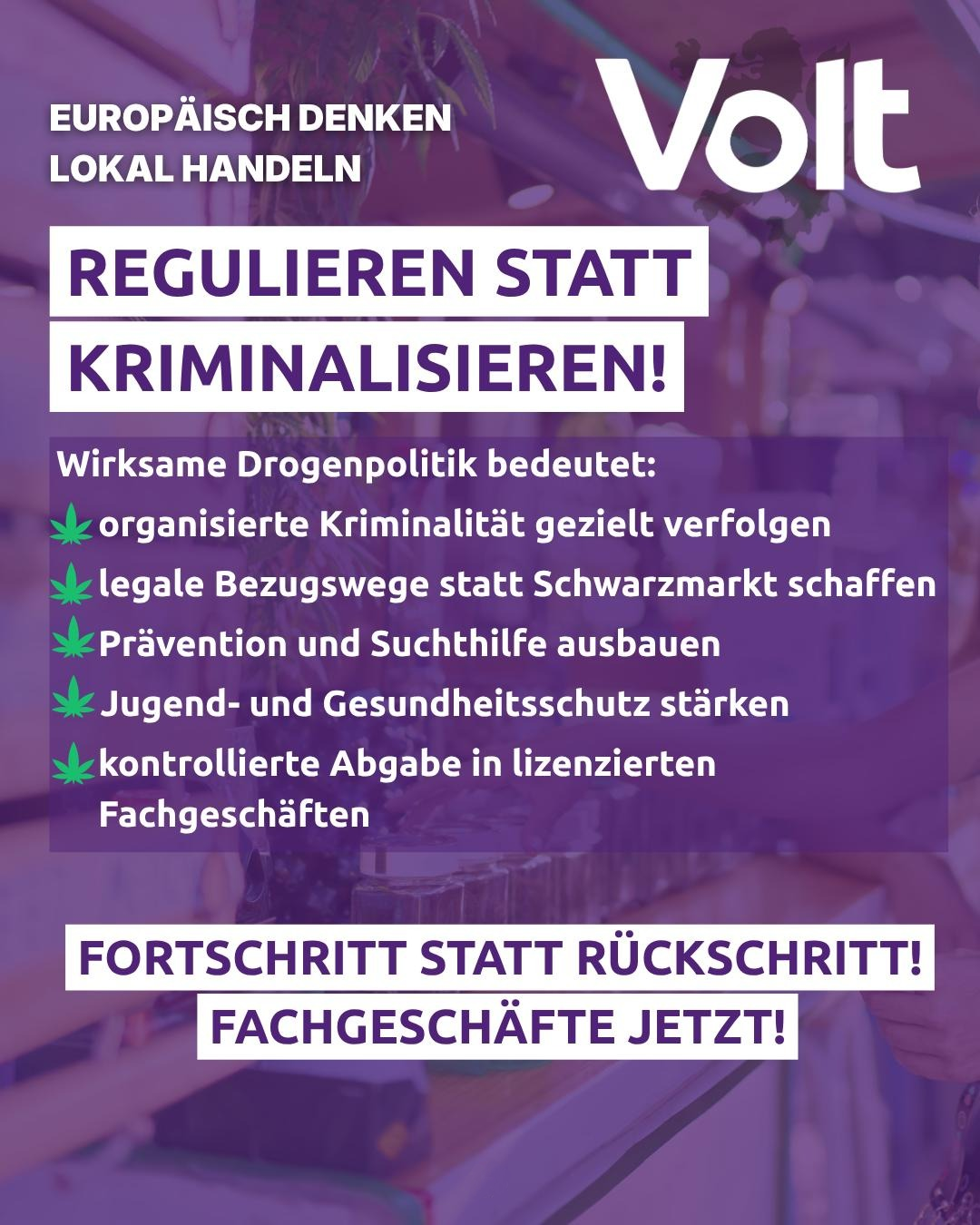 Das Bild zeigt Text vor einem stark verblurrten violetten Hintergrund.
Der Textinhalt lautet:
Regulieren statt Kriminalisieren!
Wirksame Drogenpolitik bedeutet:
- organisierte Kriminalität gezielt verfolgen
- legale Bezugswege statt Schwarzmarkt schaffen
- Prävention und Suchthilfe ausbauen
- Jugend- und Gesundheitsschutz stärken
- kontrollierte Abgabe in lizensierten Fachgeschäften
Fortschritt statt Rückschritt
Fachgeschäfte jetzt!

Über diesem Textblock steht in kleinerer Schrift "europäisch denken - lokal handeln" und "Volt"