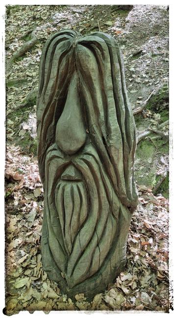 Geschnitzte Holzskulptur  eines langhaarigen und langbärtigen Zwergengesichts (ca. 60 cm hoch, aus einem Stück), geschnitzt mit wenigen, tiefen, langen Kerben, die Augen sind von Haar nahezu ganz bedeckt, braunes Laub liegt  auf  dem Waldboden