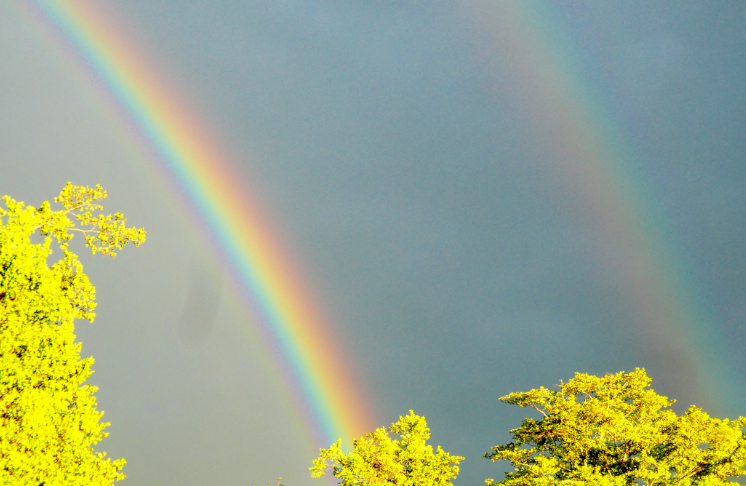 Ein doppelter Regenbogen, im Vordergrund von der Sonne angeleuchtete Bäume