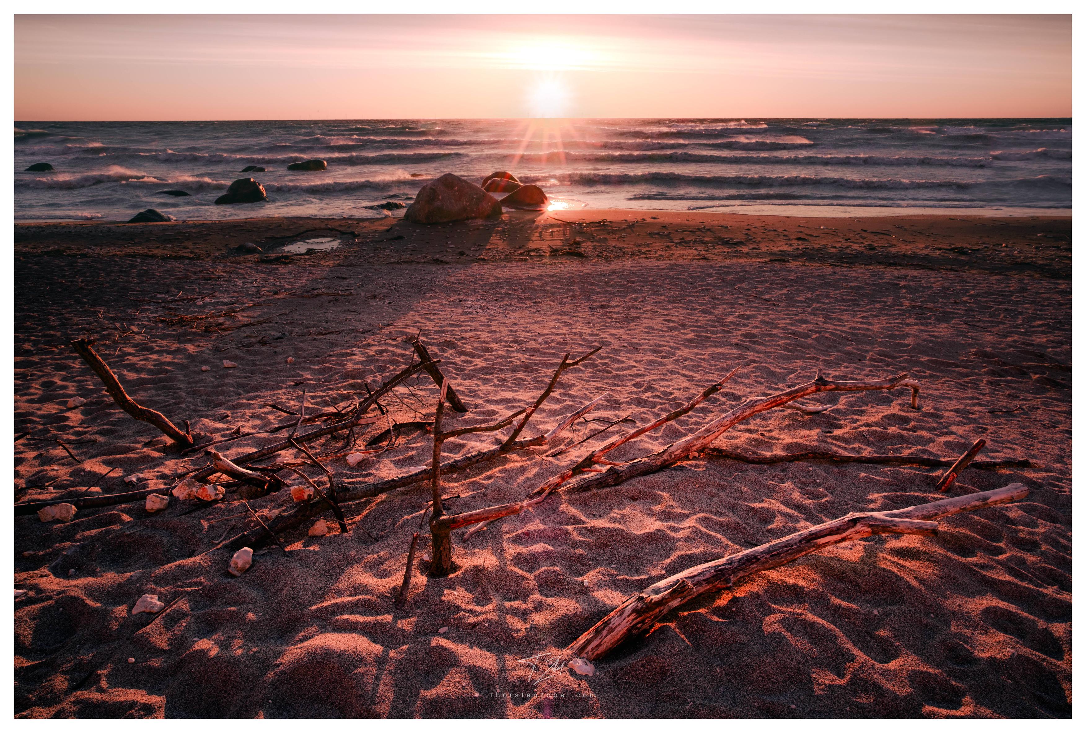 Driftwood branches lie scattered across a sandy beach. In the light of the sun setting behind the sea, the branches cast long shadows, and the scene is bathed in a warm glow.