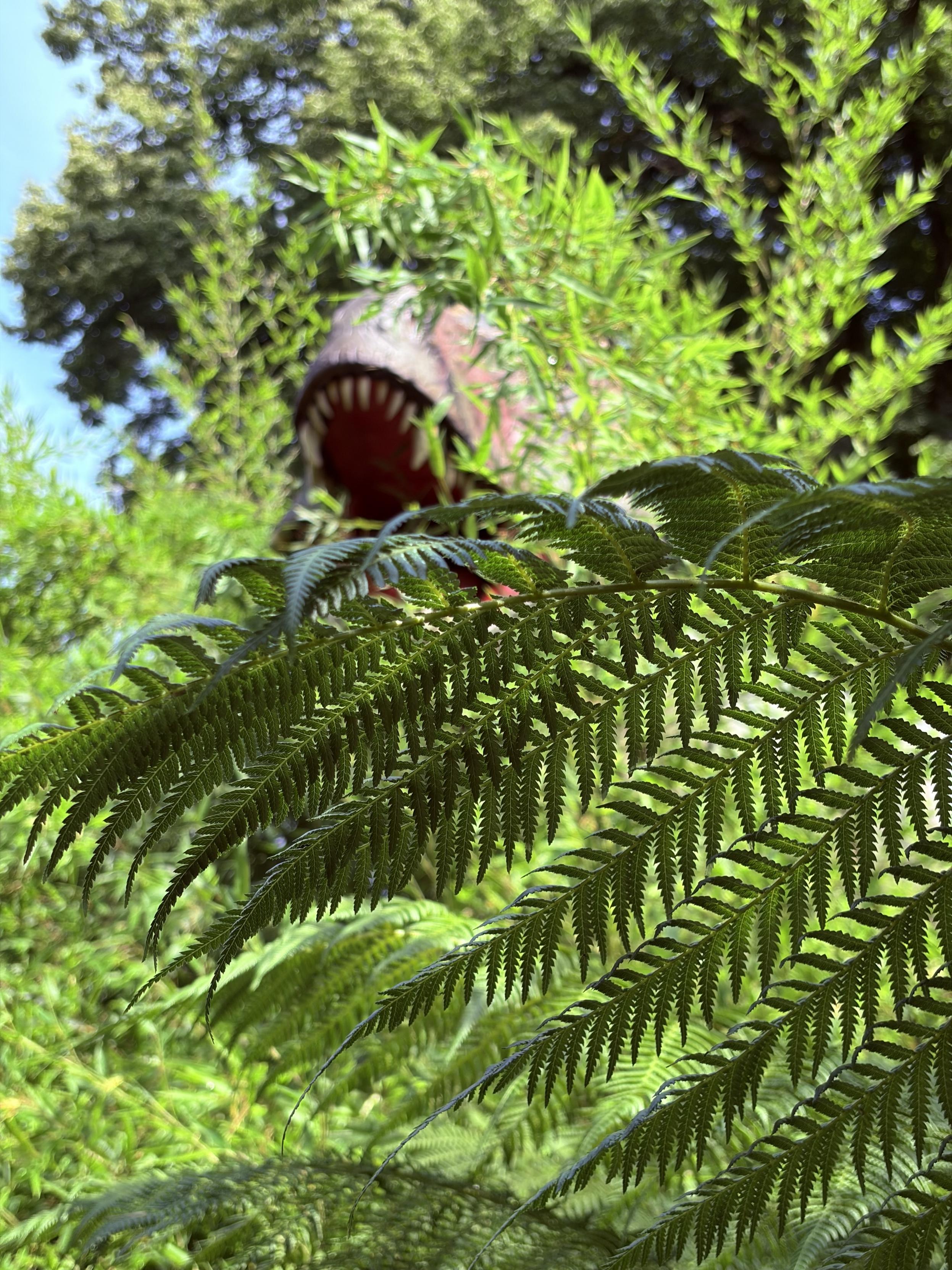 Farnwedel. Dahinter unscharf im Gebüsch das aufgerissene Maul eines lebensgroßen Tyrannosaurus Rex.