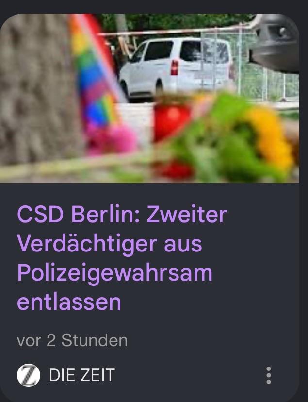 CSD Berlin: Zweiter
Verdächtiger aus Polizeigewahrsam
entlassen

ZEIT