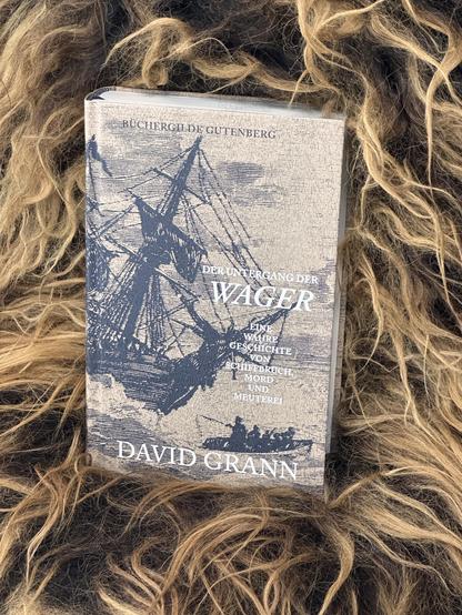 Ein Buch mit dem Titel „Der Untergang der Wager“ von David Grann liegt auf einem dunklen, strukturierten Fell.
- Cover: Beigefarben mit einer blauen Illustration eines großen Segelschiffs und eines kleinen Bootes, in dem Personen sitzen.
- Titel: „Der Untergang der Wager“ in deutlicher Schrift, Autor David Grann.
- Stimmung: Ruhig und gemütlich – das Buch wirkt wie eine entspannte Lektüre in behaglicher Atmosphäre.