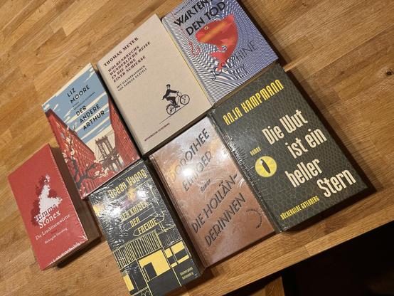 Sieben Bücher liegen in einer Reihe auf einem Holzboden. Von links nach rechts:
 1. „Die Leuchtturmwärter“ von Emma Stonex – rotes Cover.
 2. „Der andere Arthur“ von Liz Moore – blaues Cover.
 3. „Wolkenbruchs wunderliche Reise in die Arme einer Schickse“ von Thomas Meyer – beiges Cover.
 4. „Warten den Tod“ – Cover mit blau-weißem Muster.
 5. „Die Holländerin“ von Dorothee Elmiger – braunes Cover.
 6. „Die Wut ist ein heller Stern“ von Anja Hampmann – schwarzes Cover mit gelben Schriftzügen.
 …